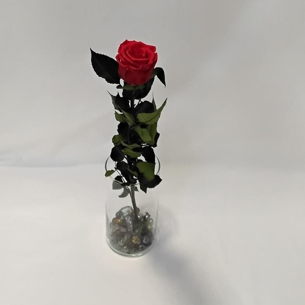 Rosa Imperial – Rosa Roja Preservada en Jarrón de Cristal